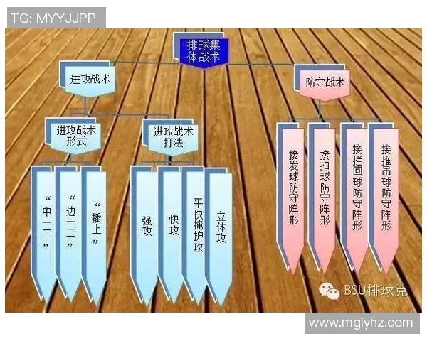 重庆排球队进攻战术深度分析与实战应用探讨